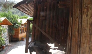 Türkmen Tree Houses